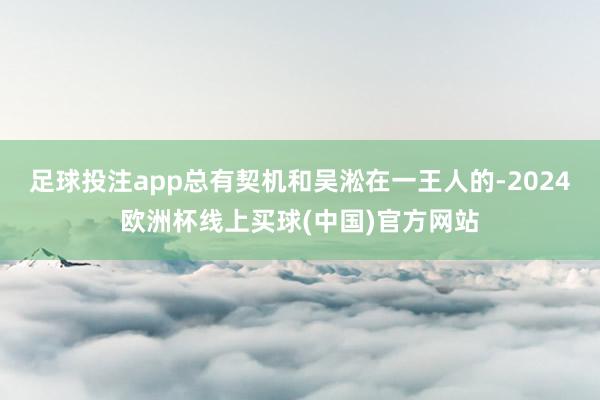 足球投注app总有契机和吴淞在一王人的-2024欧洲杯线上买球(中国)官方网站