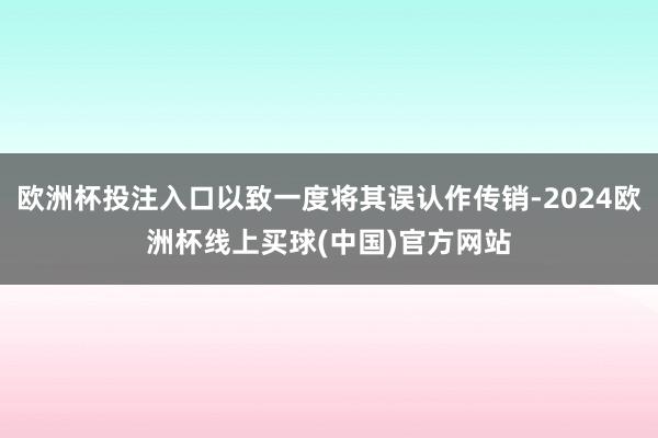 欧洲杯投注入口以致一度将其误认作传销-2024欧洲杯线上买球(中国)官方网站