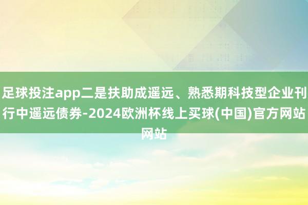 足球投注app二是扶助成遥远、熟悉期科技型企业刊行中遥远债券-2024欧洲杯线上买球(中国)官方网站