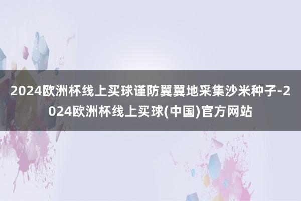 2024欧洲杯线上买球谨防翼翼地采集沙米种子-2024欧洲杯线上买球(中国)官方网站