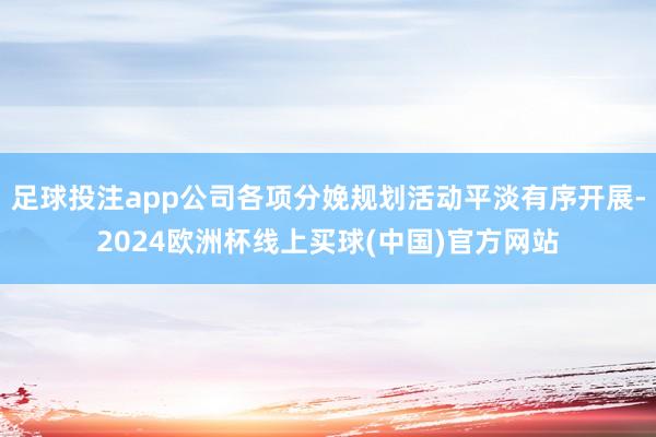 足球投注app公司各项分娩规划活动平淡有序开展-2024欧洲杯线上买球(中国)官方网站