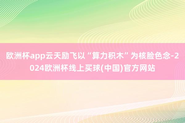 欧洲杯app云天励飞以“算力积木”为核脸色念-2024欧洲杯线上买球(中国)官方网站